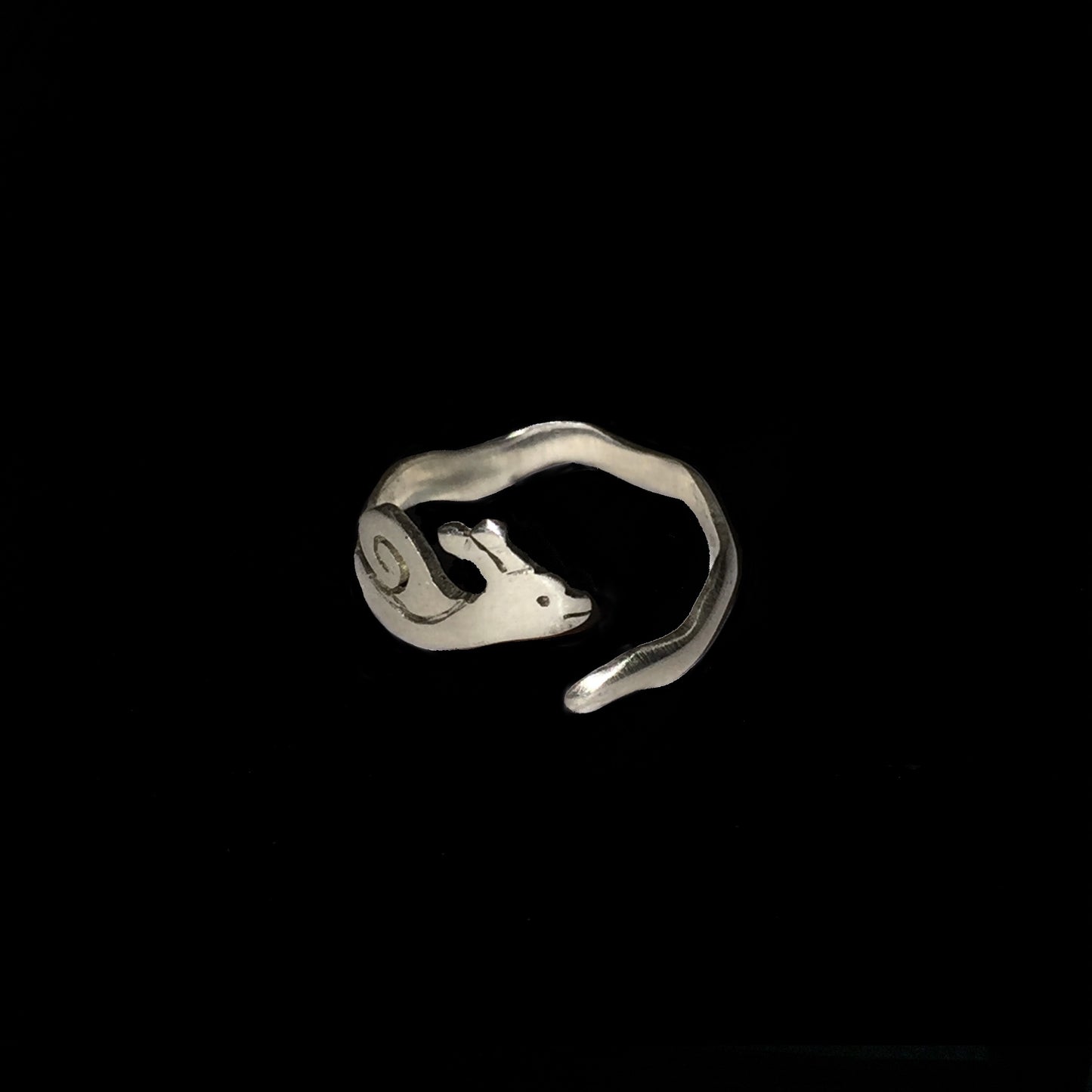 Silver Snail Ring